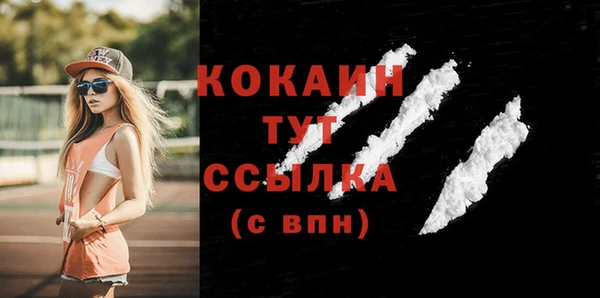 прущие грибы Тутаев